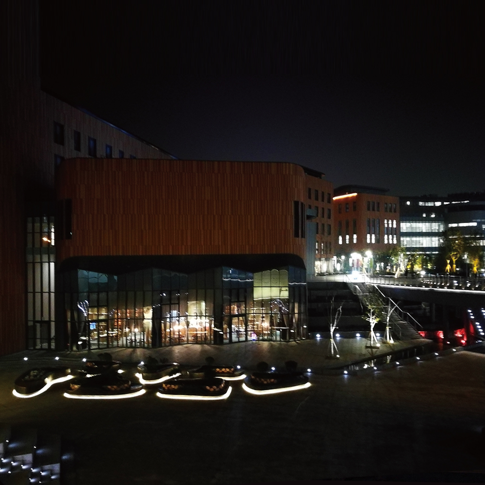 西交利物浦大学